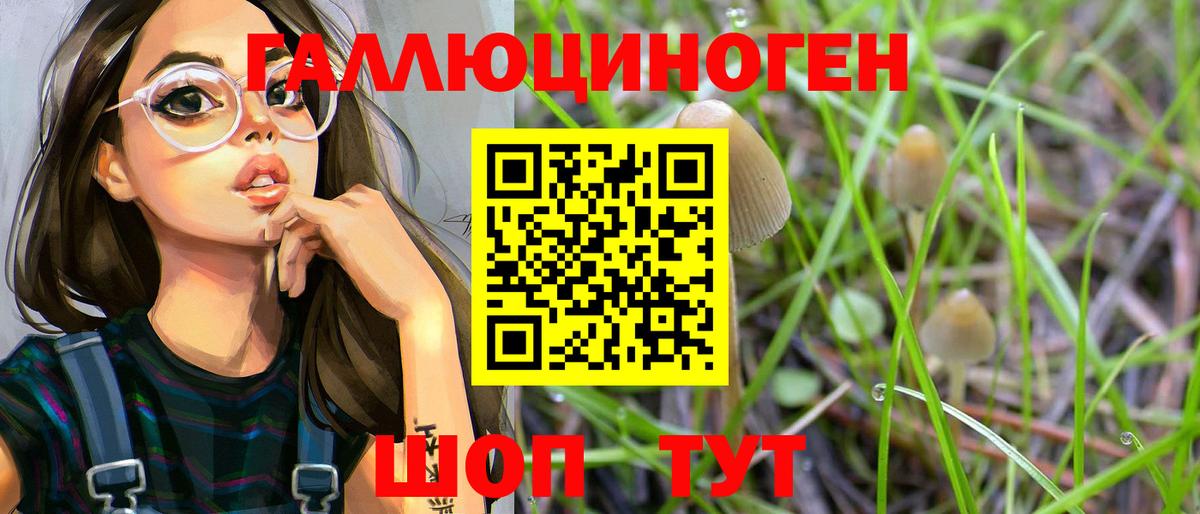 Псилоцибиновые грибы Psilocybe Клинцы