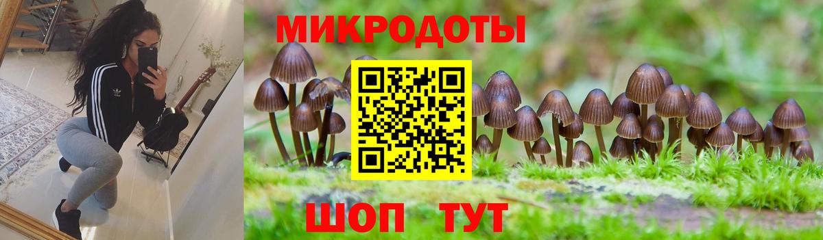 Клинцы  Псилоцибиновые грибы ЛСД  Вход с VPN 